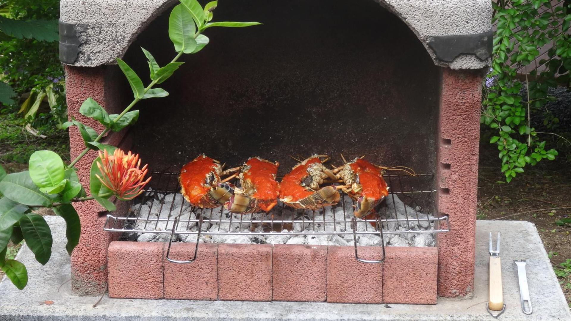 Holidays Guadeloupe Plessis-Nogent Pokój zdjęcie